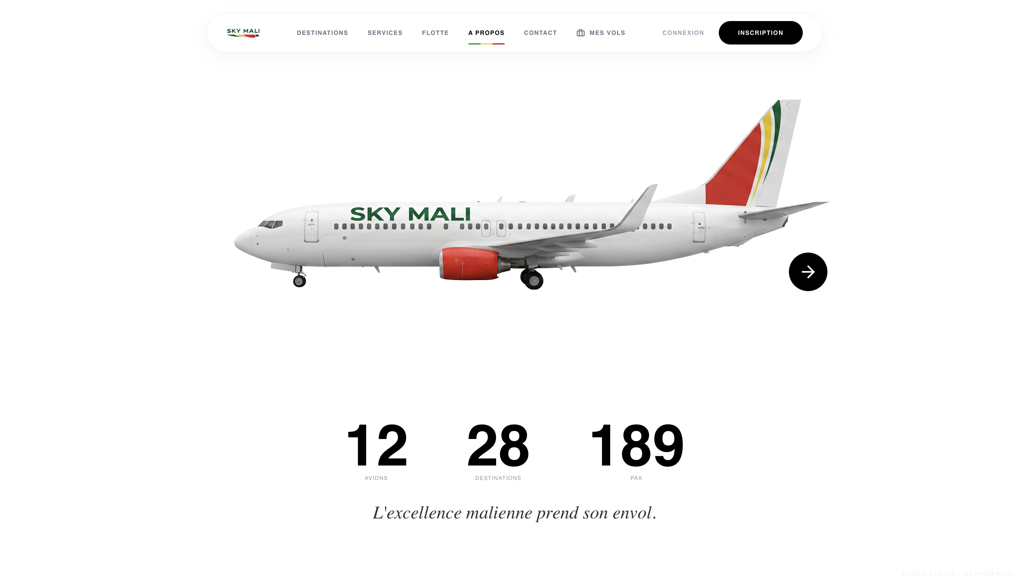 Sky Mali screenshot 4