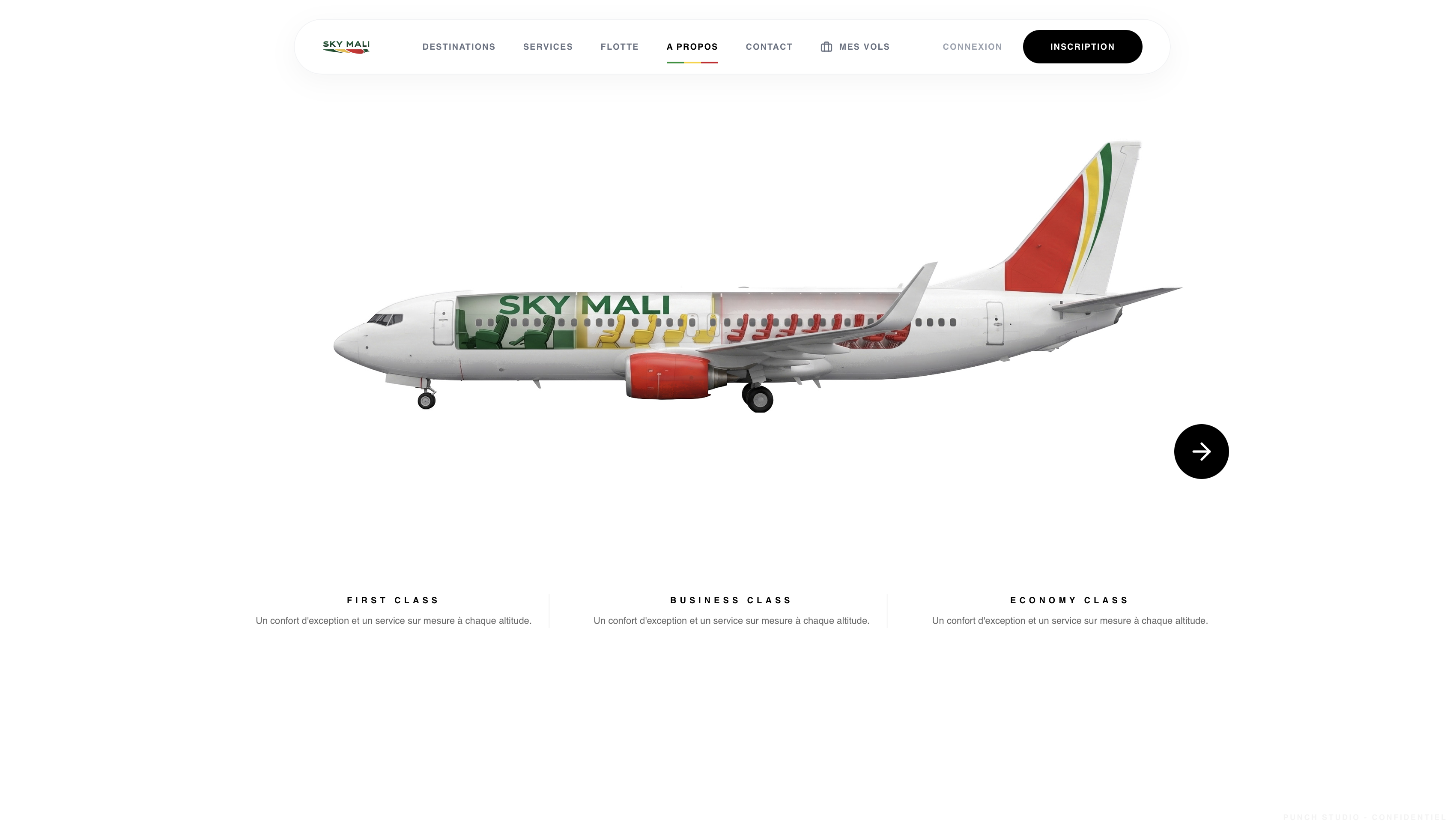 Sky Mali screenshot 5