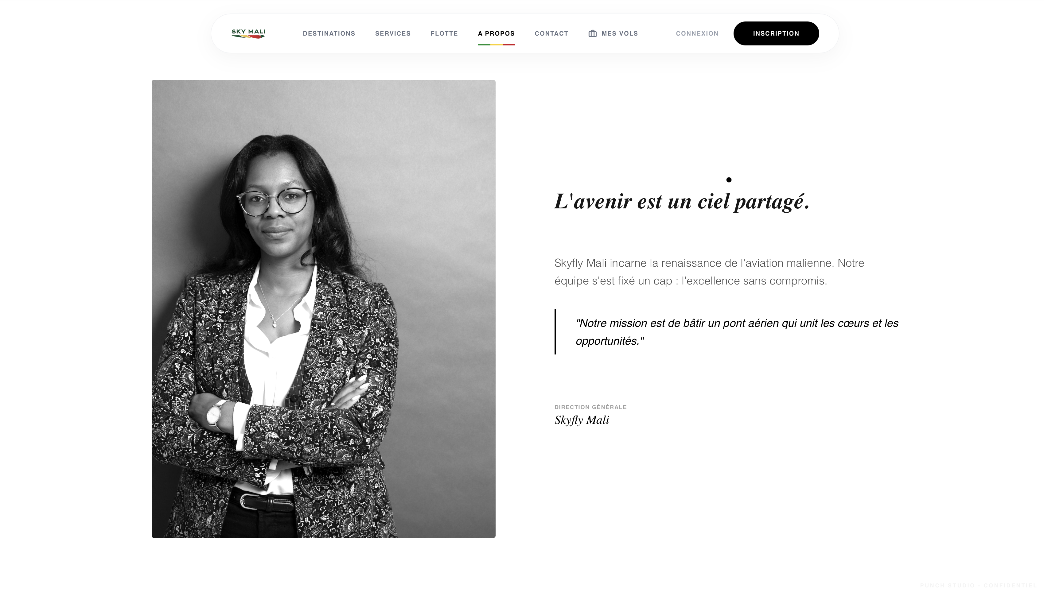 Sky Mali screenshot 7